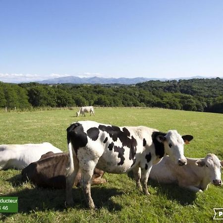 Apartmán Pura Vida # Meuble Plein De Charme Ocean Montagne Villefranque Exteriér fotografie